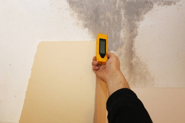 Best Dehumidification Services  in Hilliard, FL