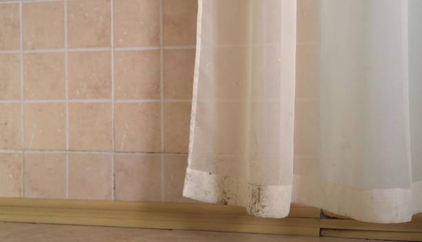 Trusted Hilliard, FL Mold Removal Experts