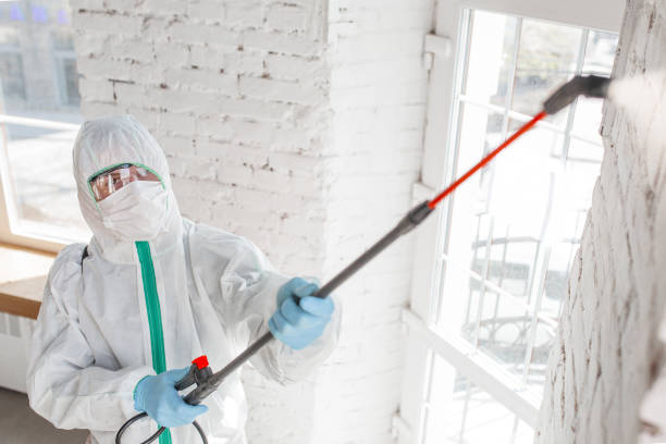 Mold Documentation for Insurance Claims in Hilliard, FL