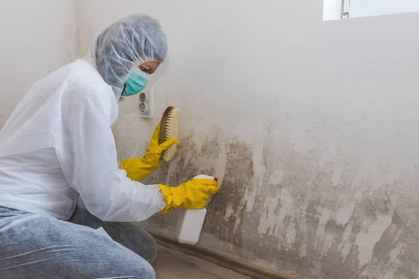 Best Industrial Mold Remediation  in Hilliard, FL