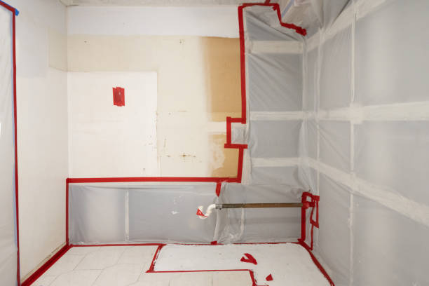 Best Post-Construction Mold Inspection  in Hilliard, FL