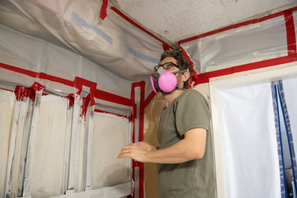 Best Environmental Consulting for Mold Prevention  in Hilliard, FL