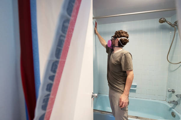 Best Mold Damage Restoration  in Hilliard, FL