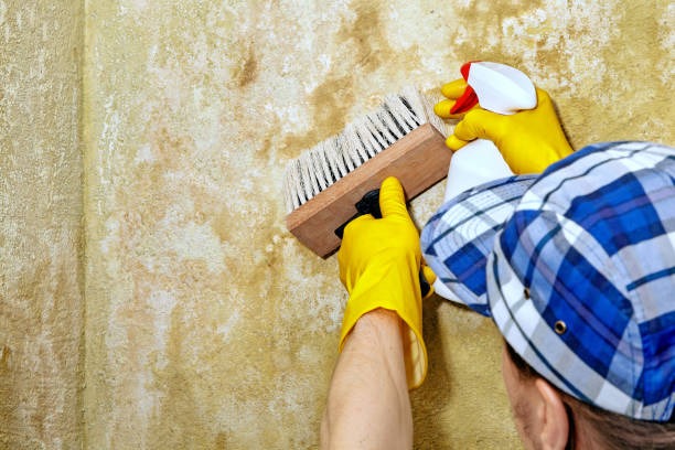 Best Post-Remediation Verification Testing  in Hilliard, FL
