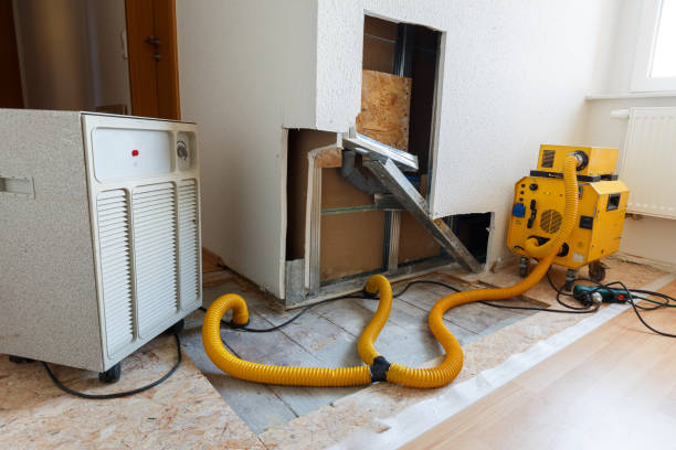 Best Emergency Mold Remediation  in Hilliard, FL