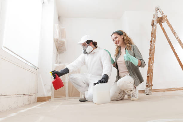 Hilliard, FL Mold Removal Company