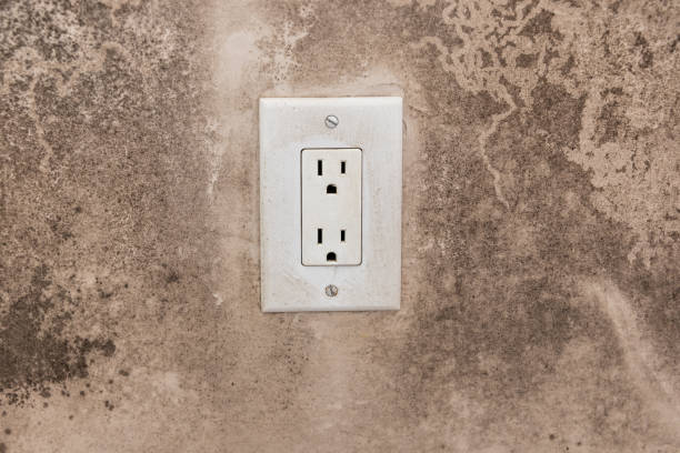 Dehumidification Services in Hilliard, FL