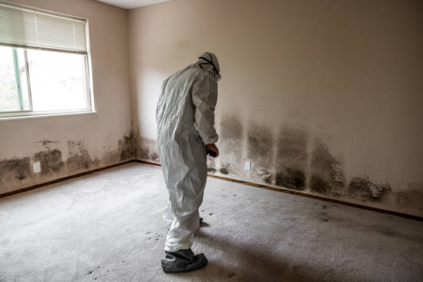 Mold Remediation for Vacation Homes in Hilliard, FL